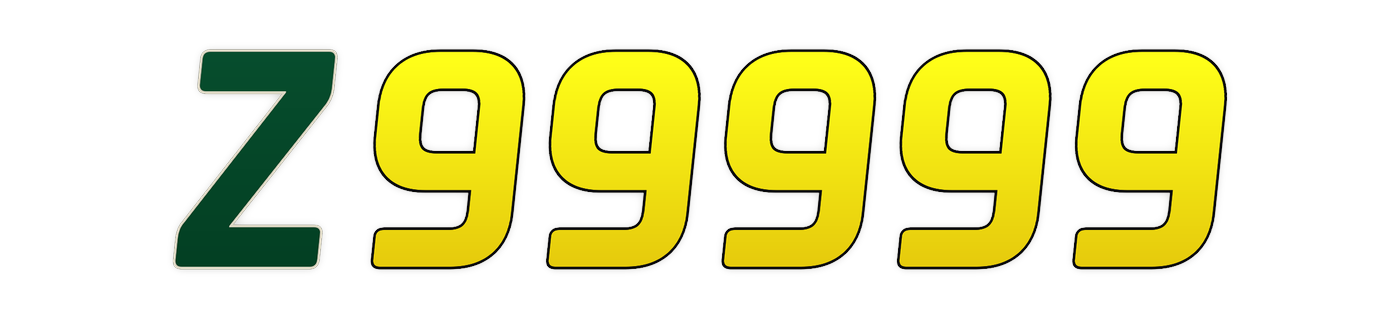 z99999